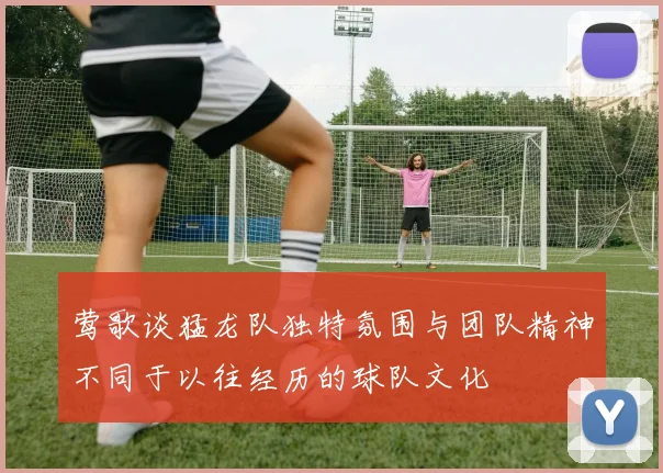 莺歌谈猛龙队独特氛围与团队精神不同于以往经历的球队文化